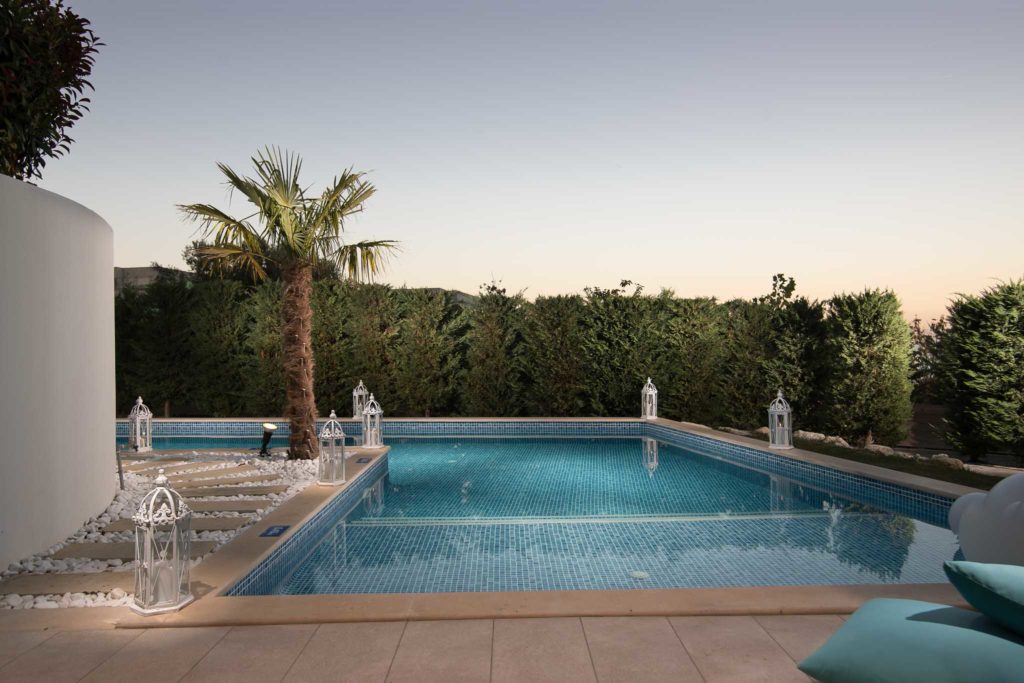 pool in the evening, palm tree